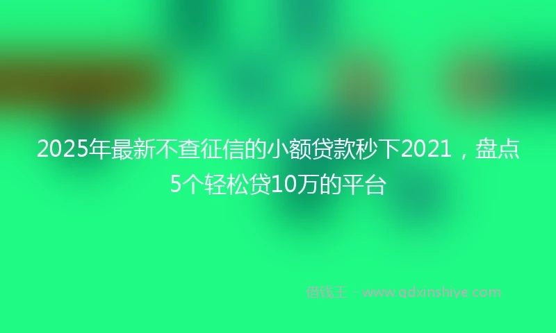 2025年最新不查征信的小额贷款秒下2021，盘点5个轻松贷10万的平台