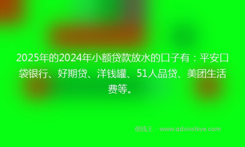 2025年的2024年小额贷款放水的口子有：平安口袋银行、好期贷、洋钱罐、51人品贷、美团生活费等。