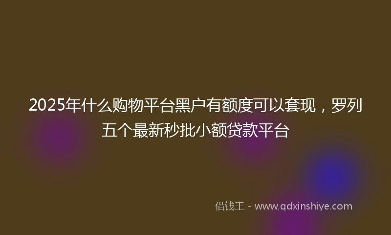 2025年什么购物平台黑户有额度可以套现，罗列五个最新秒批小额贷款平台