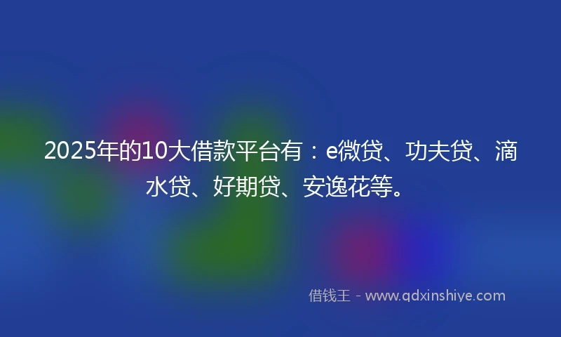 2025年的10大借款平台有：e微贷、功夫贷、滴水贷、好期贷、安逸花等。