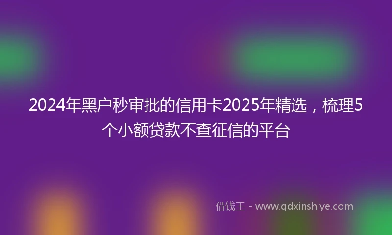 2024年黑户秒审批的信用卡2025年精选，梳理5个小额贷款不查征信的平台