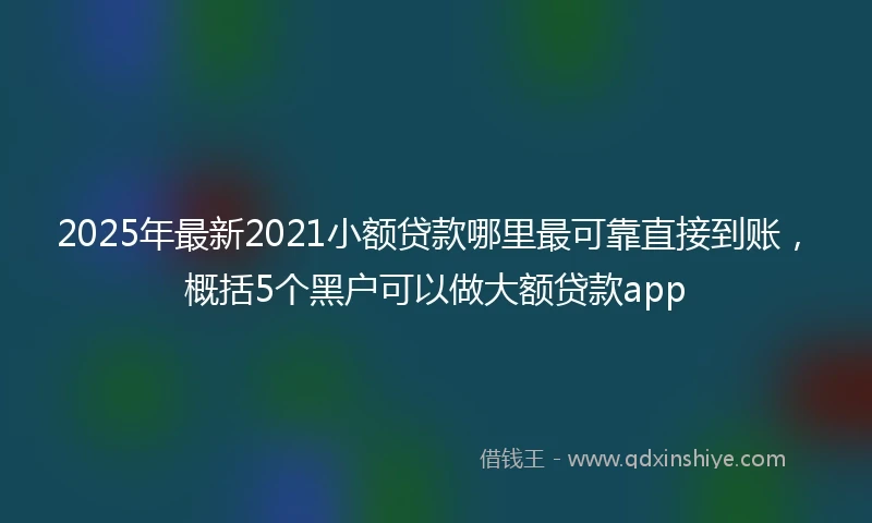 2025年最新2021小额贷款哪里最可靠直接到账，概括5个黑户可以做大额贷款app
