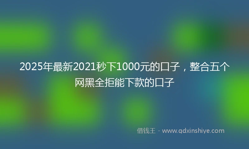 2025年最新2021秒下1000元的口子，整合五个网黑全拒能下款的口子
