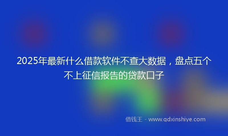 2025年最新什么借款软件不查大数据，盘点五个不上征信报告的贷款口子