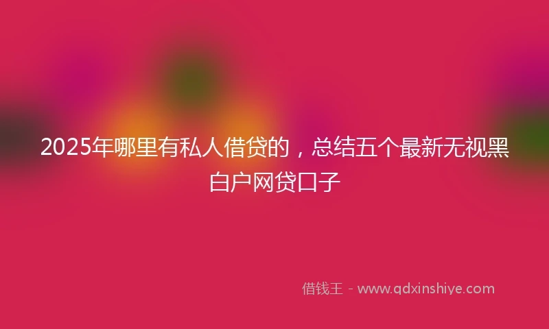 2025年哪里有私人借贷的，总结五个最新无视黑白户网贷口子