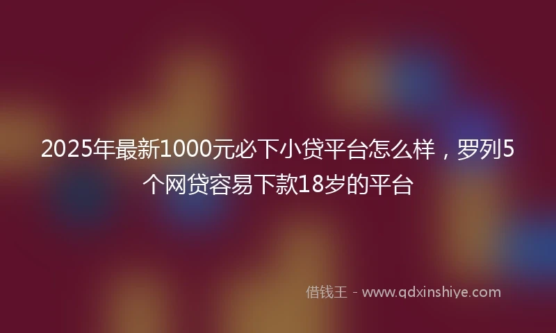 2025年最新1000元必下小贷平台怎么样，罗列5个网贷容易下款18岁的平台