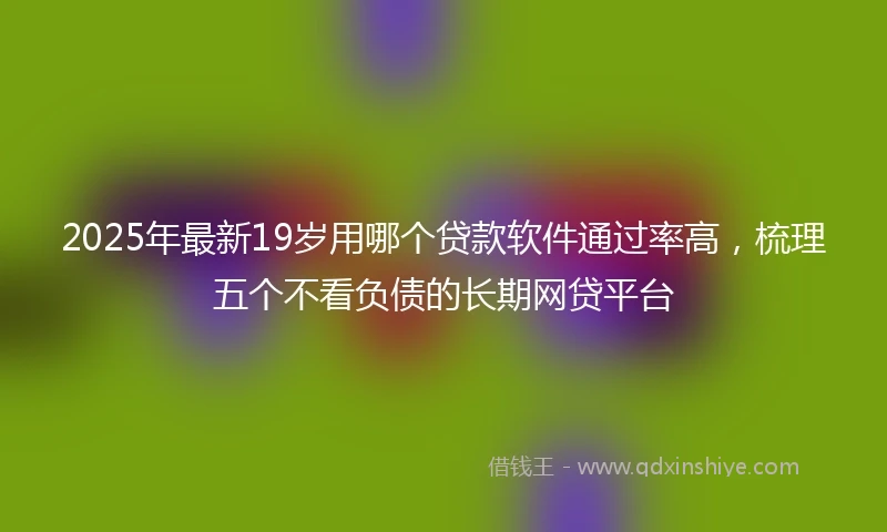2025年最新19岁用哪个贷款软件通过率高，梳理五个不看负债的长期网贷平台