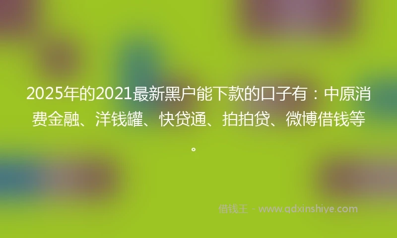 2025年的2021最新黑户能下款的口子有：中原消费金融、洋钱罐、快贷通、拍拍贷、微博借钱等。