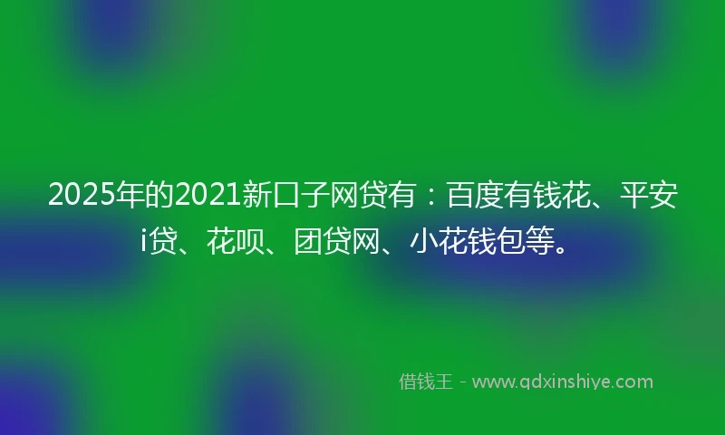 2025年的2021新口子网贷有：百度有钱花、平安i贷、花呗、团贷网、小花钱包等。