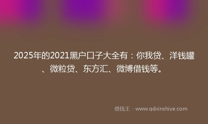 2025年的2021黑户口子大全有：你我贷、洋钱罐、微粒贷、东方汇、微博借钱等。