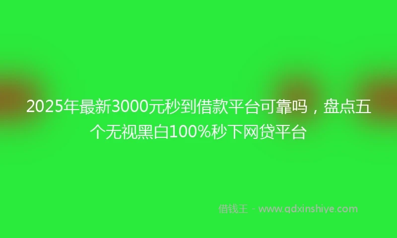 2025年最新3000元秒到借款平台可靠吗，盘点五个无视黑白100%秒下网贷平台