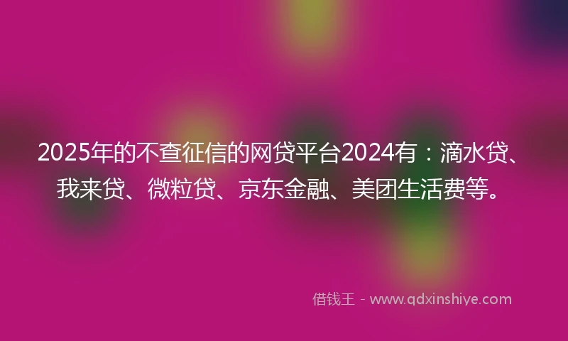 2025年的不查征信的网贷平台2024有：滴水贷、我来贷、微粒贷、京东金融、美团生活费等。