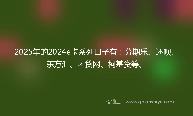 2025年的2024e卡系列口子有：分期乐、还呗、东方汇、团贷网、柯基贷等。