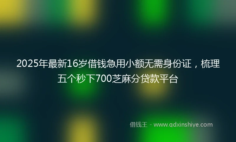 2025年最新16岁借钱急用小额无需身份证，梳理五个秒下700芝麻分贷款平台
