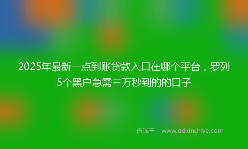 2025年最新一点到账贷款入口在哪个平台，罗列5个黑户急需三万秒到的的口子