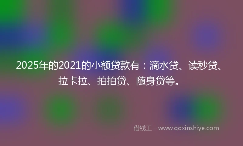 2025年的2021的小额贷款有：滴水贷、读秒贷、拉卡拉、拍拍贷、随身贷等。