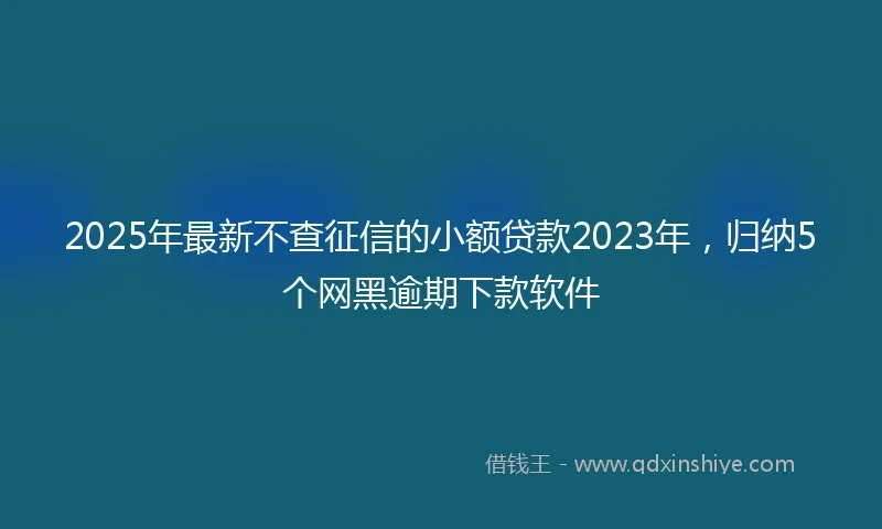 2025年最新不查征信的小额贷款2023年，归纳5个网黑逾期下款软件