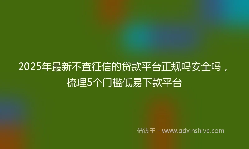 2025年最新不查征信的贷款平台正规吗安全吗，梳理5个门槛低易下款平台