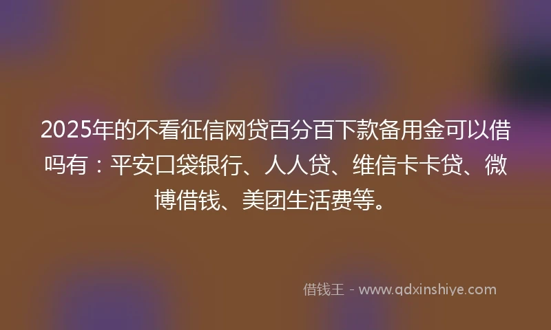 2025年的不看征信网贷百分百下款备用金可以借吗有：平安口袋银行、人人贷、维信卡卡贷、微博借钱、美团生活费等。