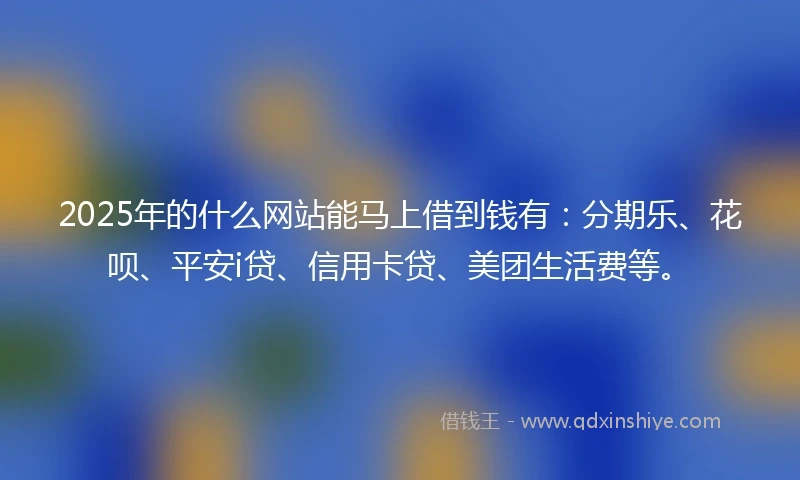 2025年的什么网站能马上借到钱有：分期乐、花呗、平安i贷、信用卡贷、美团生活费等。