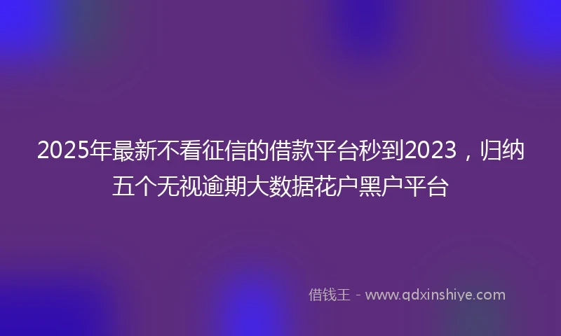 2025年最新不看征信的借款平台秒到2023，归纳五个无视逾期大数据花户黑户平台