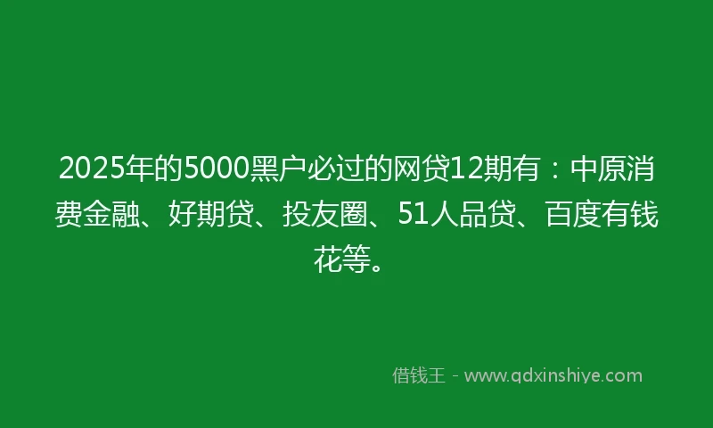 2025年的5000黑户必过的网贷12期有：中原消费金融、好期贷、投友圈、51人品贷、百度有钱花等。
