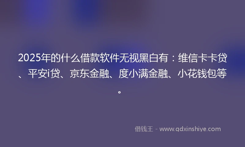 2025年的什么借款软件无视黑白有：维信卡卡贷、平安i贷、京东金融、度小满金融、小花钱包等。