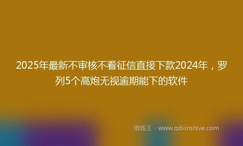 2025年最新不审核不看征信直接下款2024年，罗列5个高炮无视逾期能下的软件