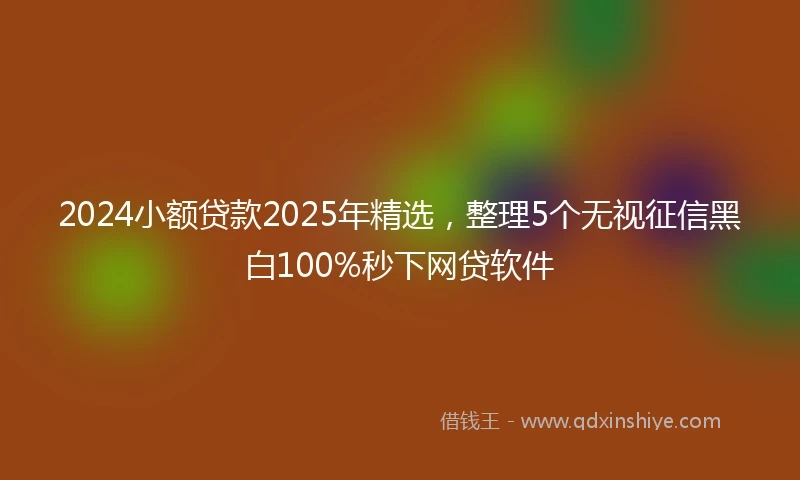 2024小额贷款2025年精选，整理5个无视征信黑白100%秒下网贷软件
