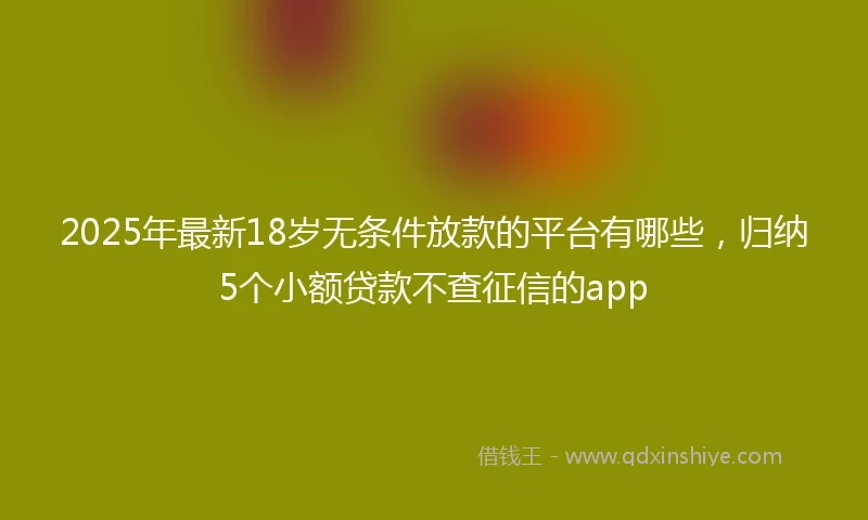 2025年最新18岁无条件放款的平台有哪些，归纳5个小额贷款不查征信的app