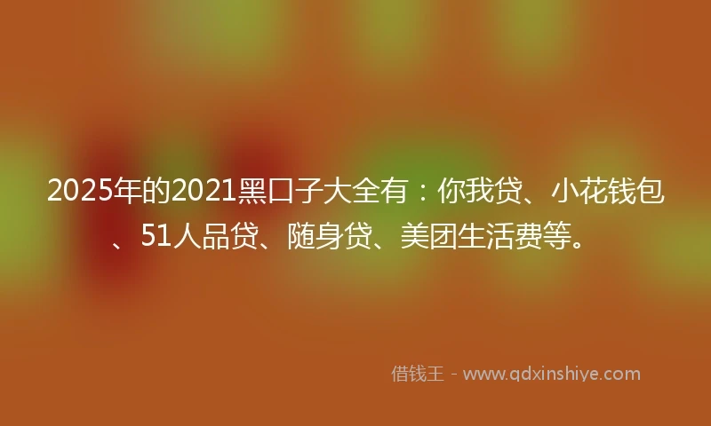 2025年的2021黑口子大全有：你我贷、小花钱包、51人品贷、随身贷、美团生活费等。