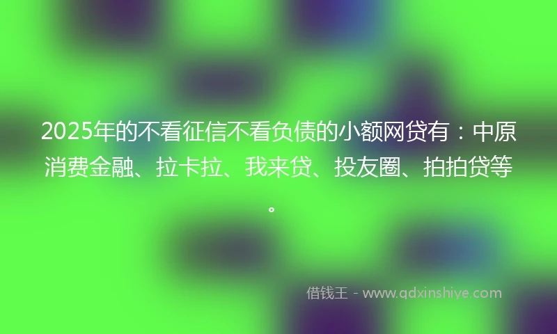 2025年的不看征信不看负债的小额网贷有：中原消费金融、拉卡拉、我来贷、投友圈、拍拍贷等。