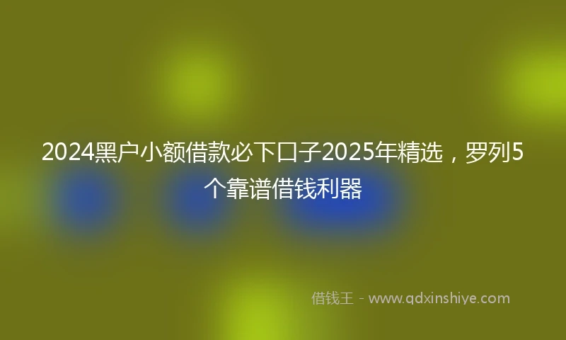 2024黑户小额借款必下口子2025年精选，罗列5个靠谱借钱利器