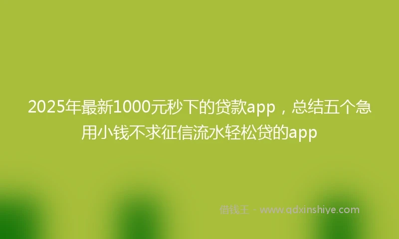 2025年最新1000元秒下的贷款app，总结五个急用小钱不求征信流水轻松贷的app
