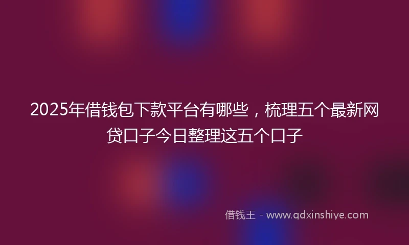 2025年借钱包下款平台有哪些，梳理五个最新网贷口子今日整理这五个口子