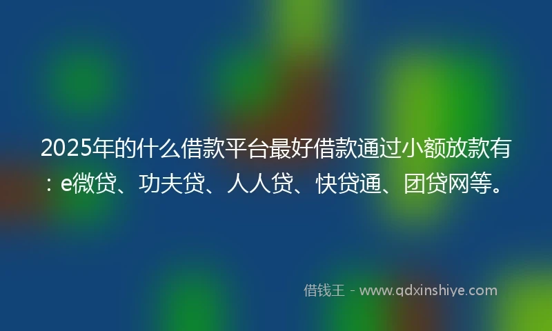 2025年的什么借款平台最好借款通过小额放款有：e微贷、功夫贷、人人贷、快贷通、团贷网等。