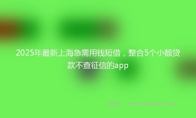 2025年最新上海急需用钱短借，整合5个小额贷款不查征信的app