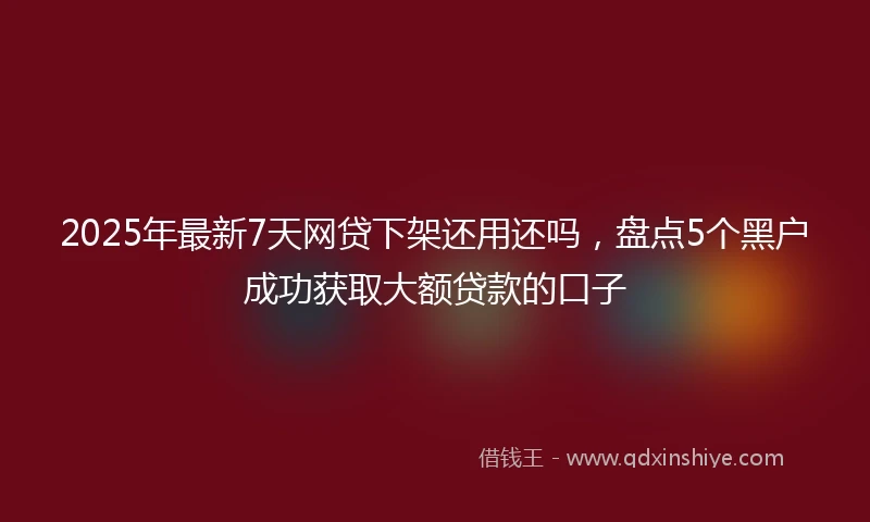 2025年最新7天网贷下架还用还吗，盘点5个黑户成功获取大额贷款的口子