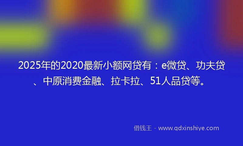 2025年的2020最新小额网贷有：e微贷、功夫贷、中原消费金融、拉卡拉、51人品贷等。
