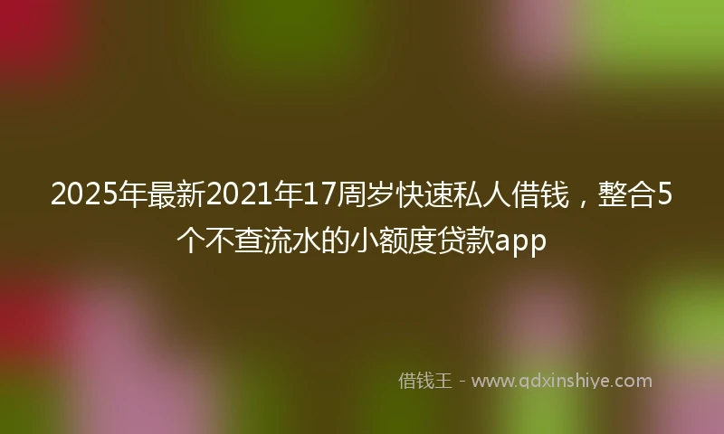 2025年最新2021年17周岁快速私人借钱，整合5个不查流水的小额度贷款app