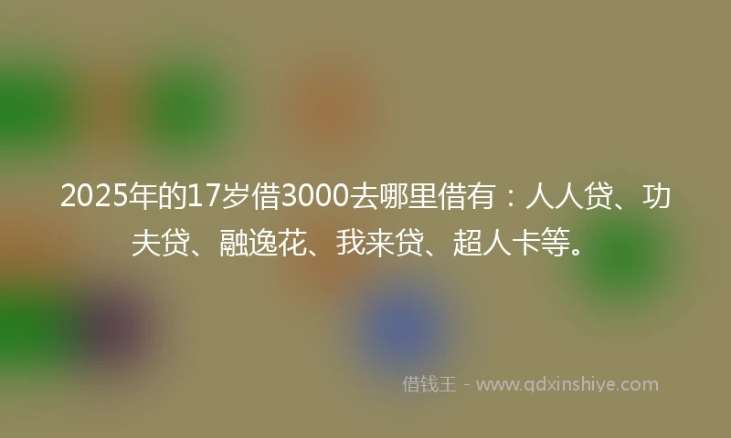 2025年的17岁借3000去哪里借有：人人贷、功夫贷、融逸花、我来贷、超人卡等。