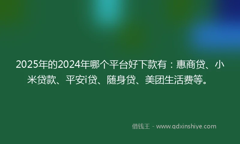 2025年的2024年哪个平台好下款有：惠商贷、小米贷款、平安i贷、随身贷、美团生活费等。