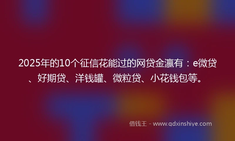 2025年的10个征信花能过的网贷金瀛有：e微贷、好期贷、洋钱罐、微粒贷、小花钱包等。