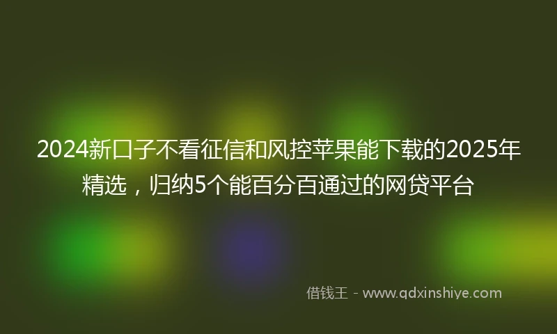 2024新口子不看征信和风控苹果能下载的2025年精选，归纳5个能百分百通过的网贷平台