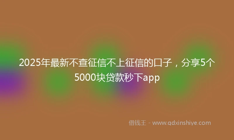 2025年最新不查征信不上征信的口子，分享5个5000块贷款秒下app