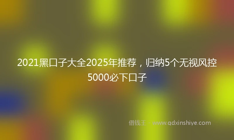 2021黑口子大全2025年推荐，归纳5个无视风控5000必下口子