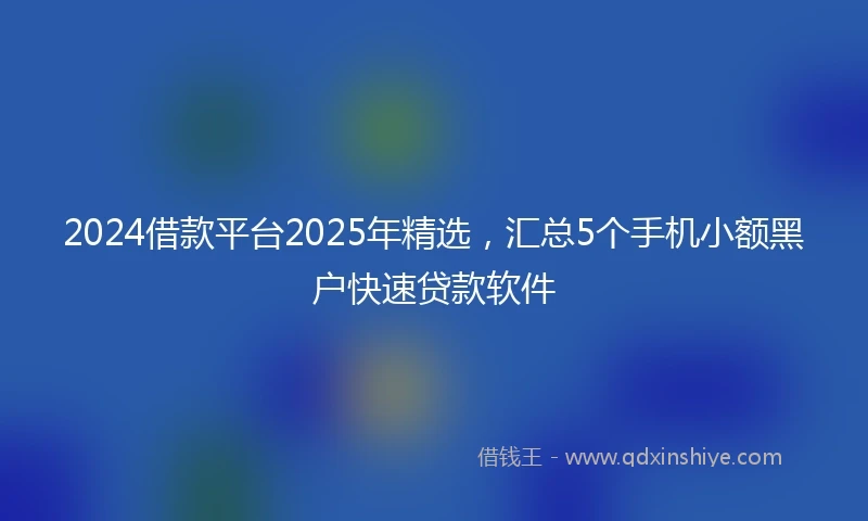 2024借款平台2025年精选，汇总5个手机小额黑户快速贷款软件