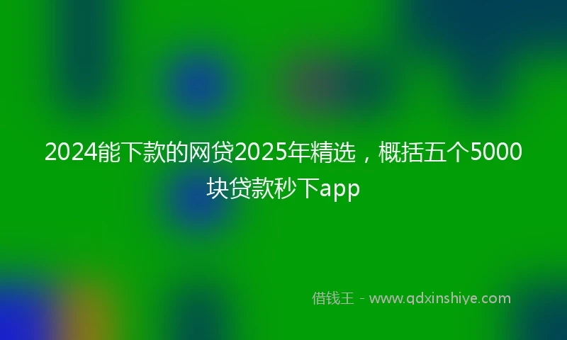 2024能下款的网贷2025年精选，概括五个5000块贷款秒下app