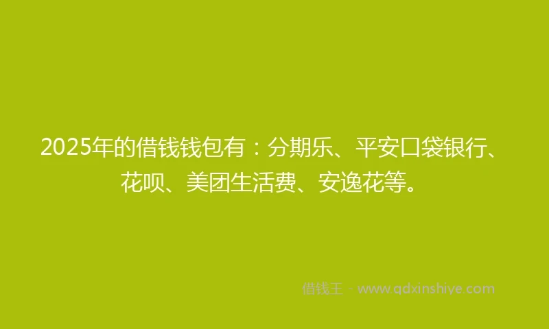 2025年的借钱钱包有：分期乐、平安口袋银行、花呗、美团生活费、安逸花等。