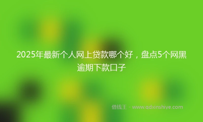 2025年最新个人网上贷款哪个好，盘点5个网黑逾期下款口子
